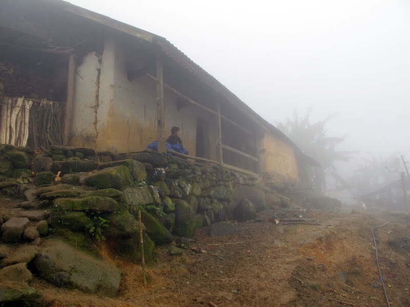 HongNgai2011383.jpg