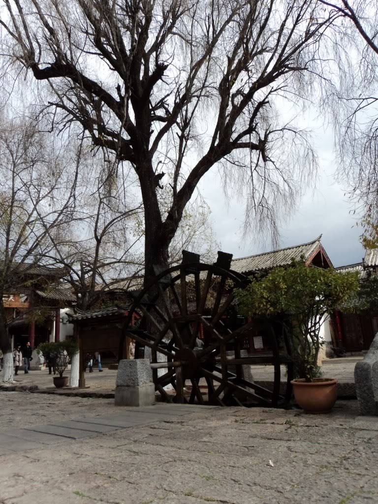 DSC01772.jpg