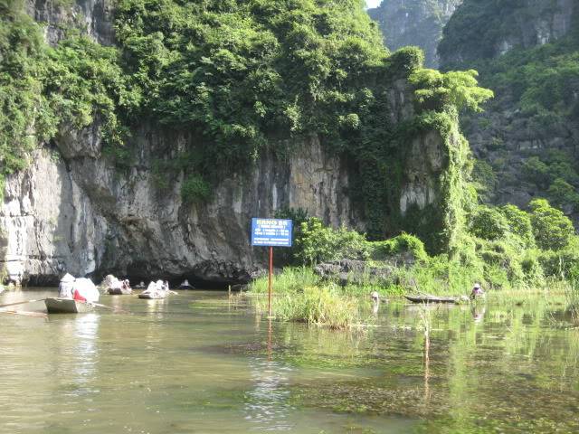 IMG_0564.jpg