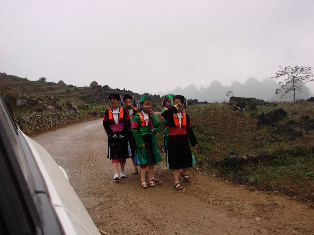 DSC09597.jpg