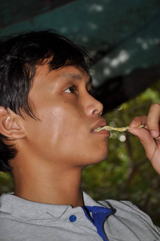 DSC_4871_resize.jpg