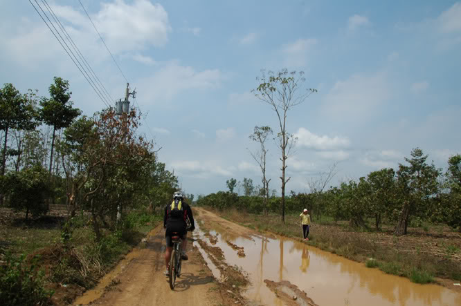 DSC_3765.jpg