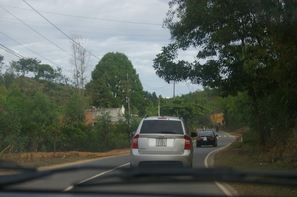 IMGP0033.jpg