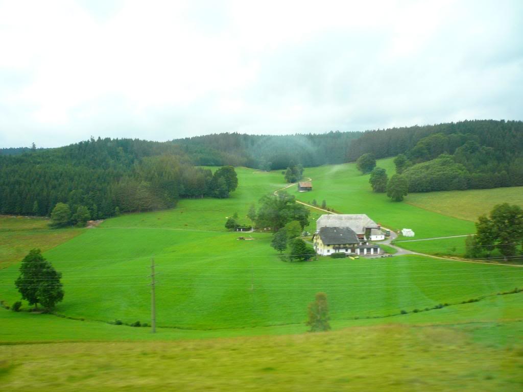 P1020202.jpg
