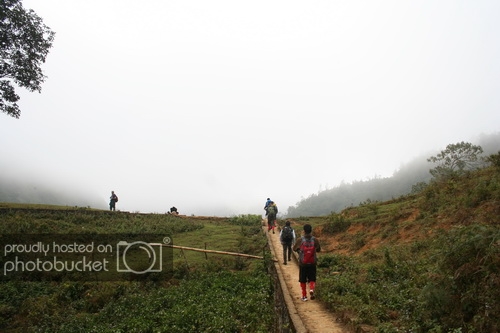 IMG_1675_zps5d559e3f.jpg