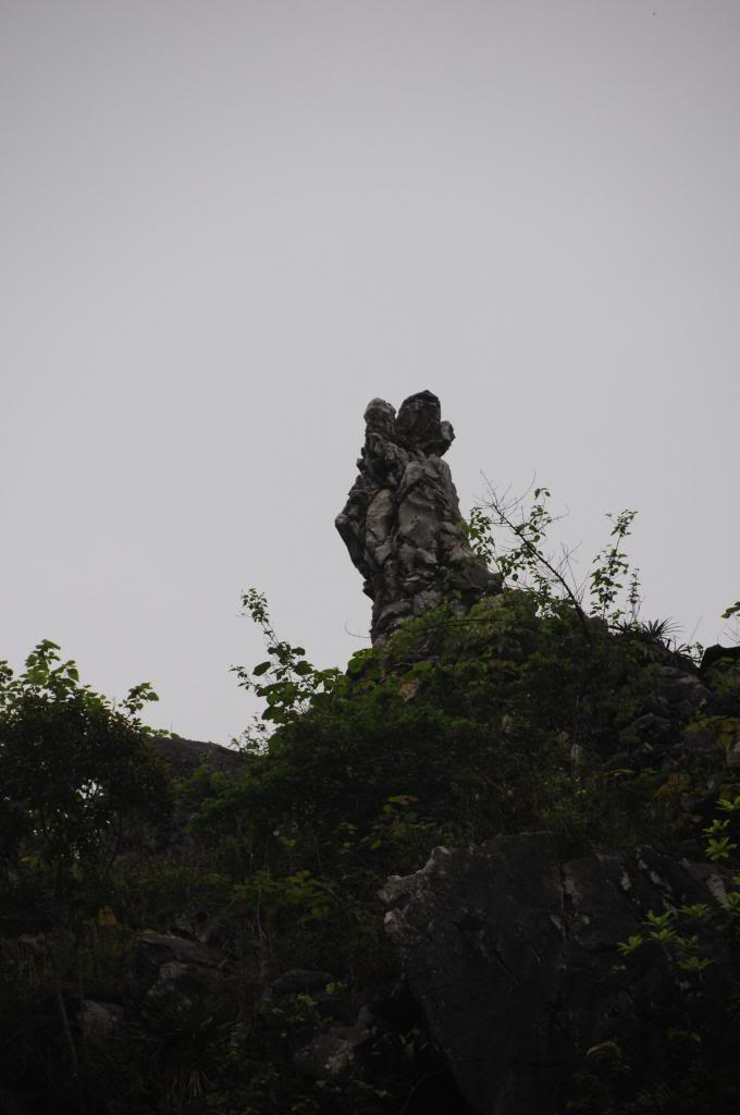 DSC_1657.jpg