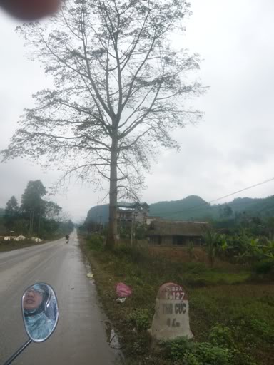P1020456.jpg
