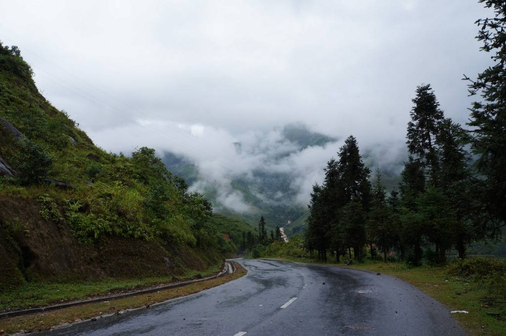 DSC05585.jpg