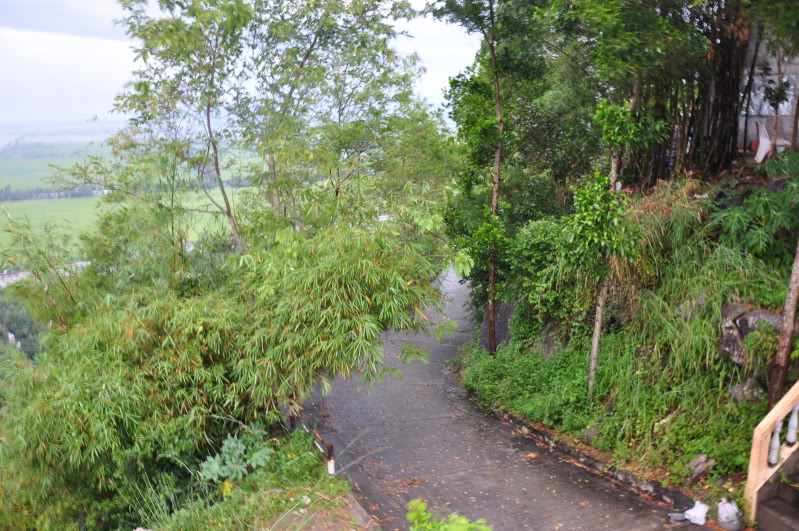 DSC_0340.jpg