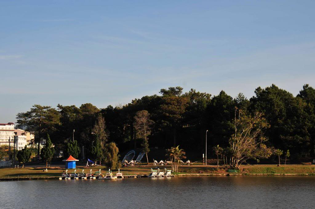 DSC_7194_zps239a35cf.jpg