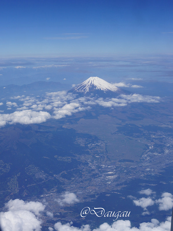 33768030154_9fa24c924e_c.jpg