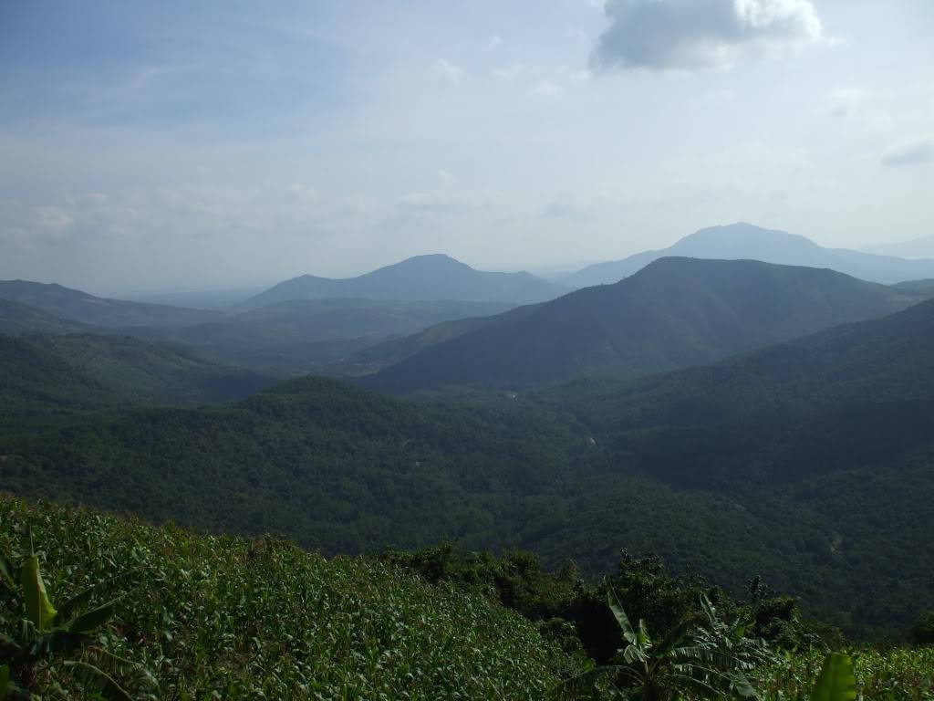DSCF42061.jpg