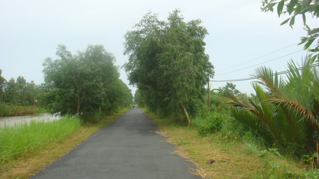153.jpg