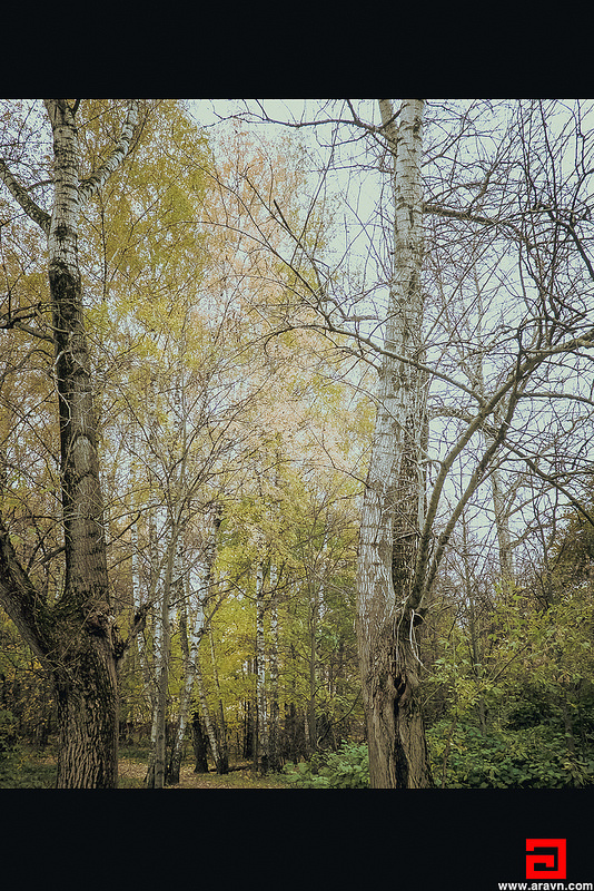 30363897993_fdf635d425_c.jpg