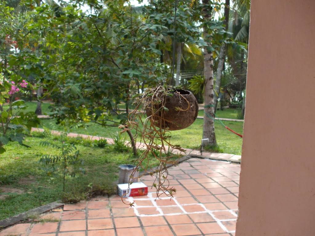 DSCF5127.jpg