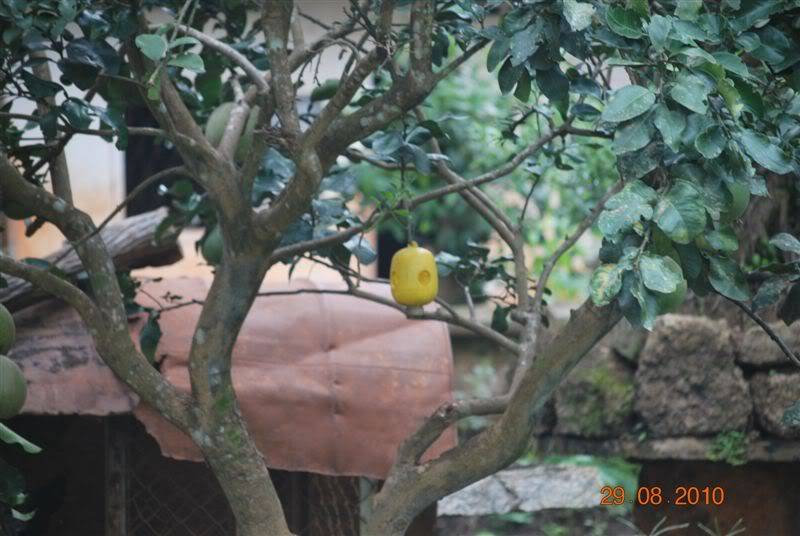 DSC_1708.jpg