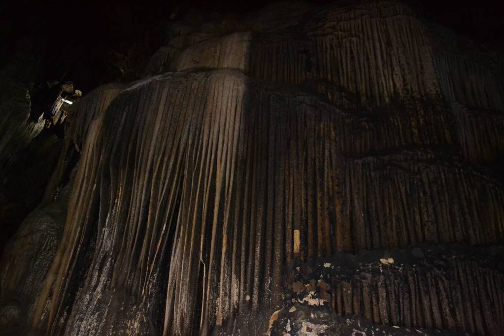 DSC_6707.jpg