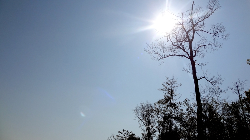 DSC09247_zpsb10dfdd6.jpg