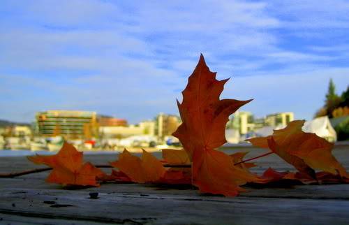 IMG_0026.jpg