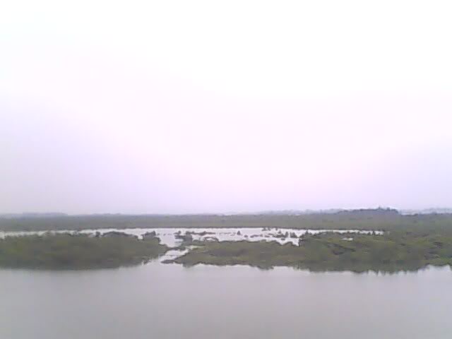 IMG0053A.jpg