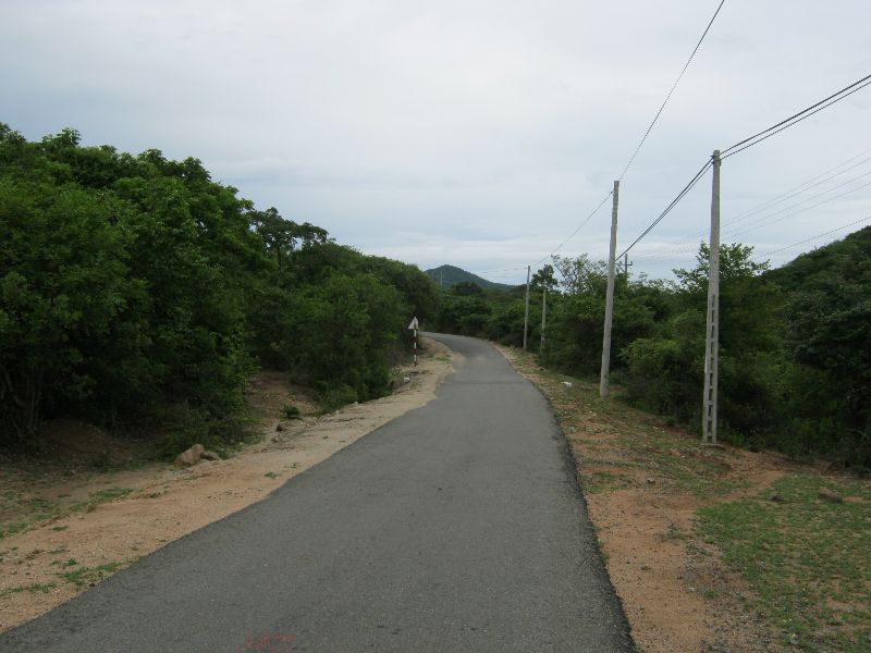 IMG_1360.jpg