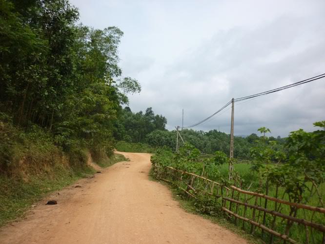 P1300646.jpg