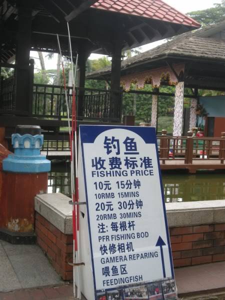 DSCN7827800x600.jpg