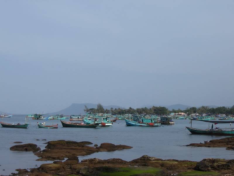 DSC06195_resize.jpg