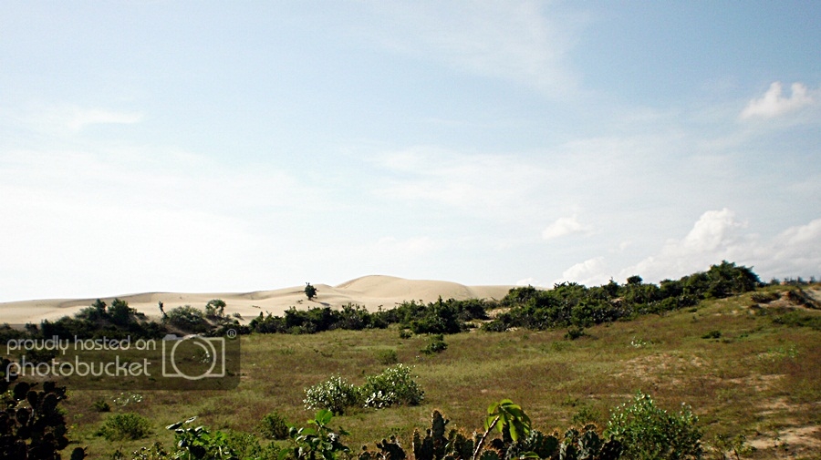 20_zpsdc6017d0.jpg