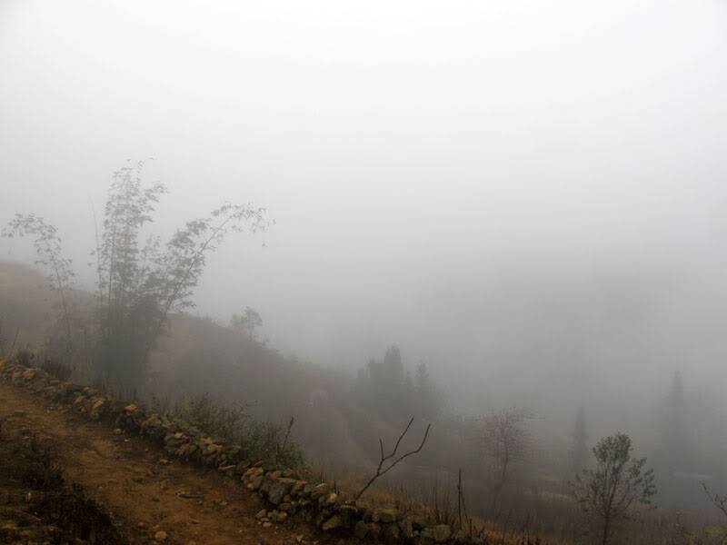 HongNgai2011705.jpg