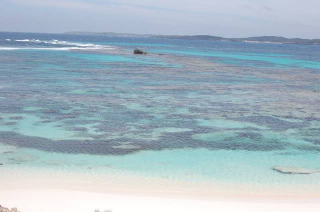 DSC_0729.jpg
