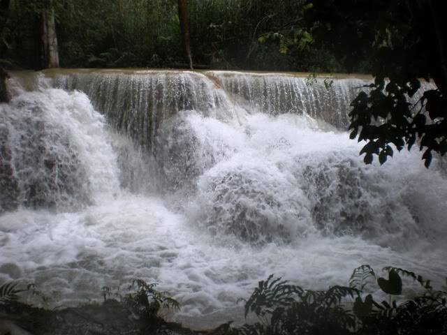 P7240384.jpg