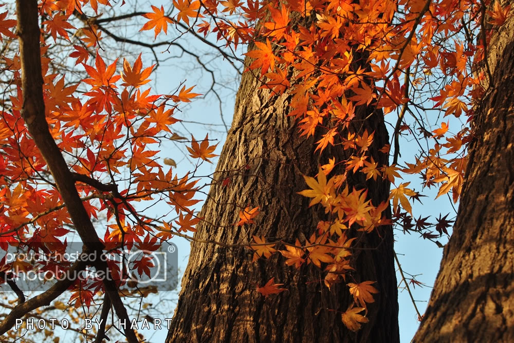 DSC_1127.jpg