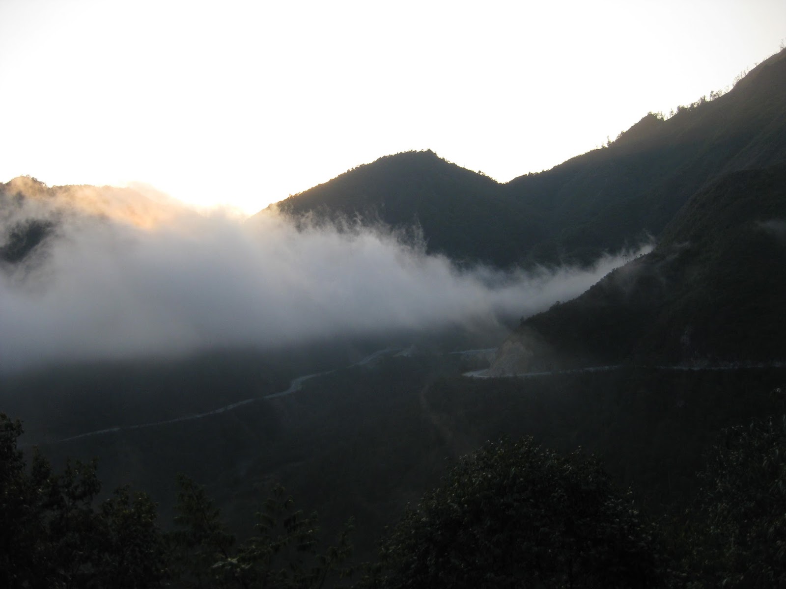 IMG_0235.jpg