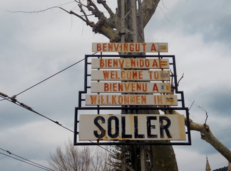 DSCN6140.jpg