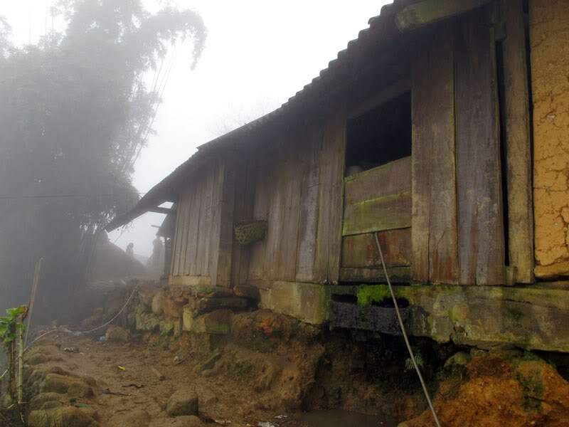 HongNgai2011382.jpg