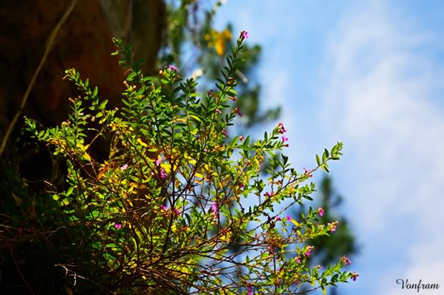 _MG_2366.jpg