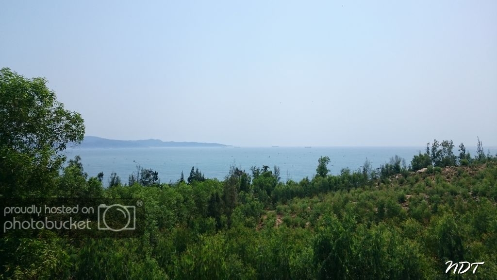 DSC_4438.jpg