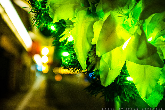 9057787704_a177607c5b_z.jpg
