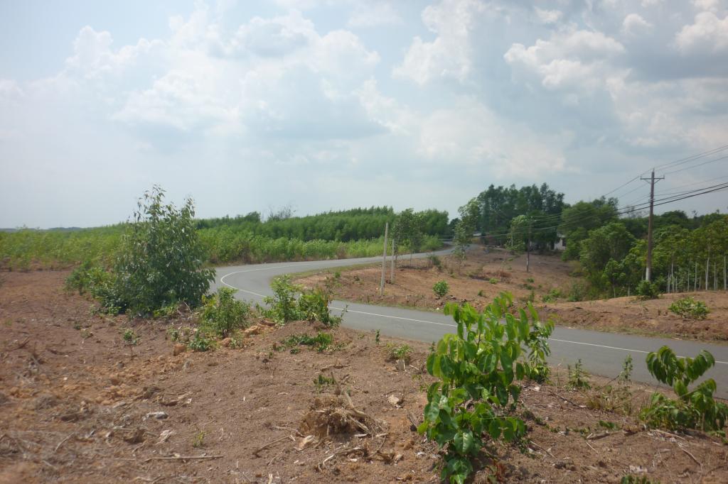 P1010196.jpg