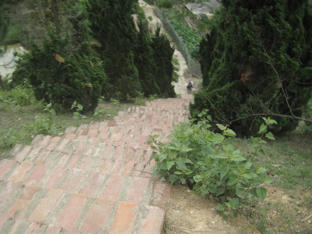 IMG_4679.jpg