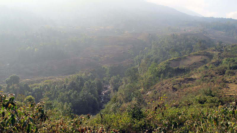 HongNgai2011225.jpg