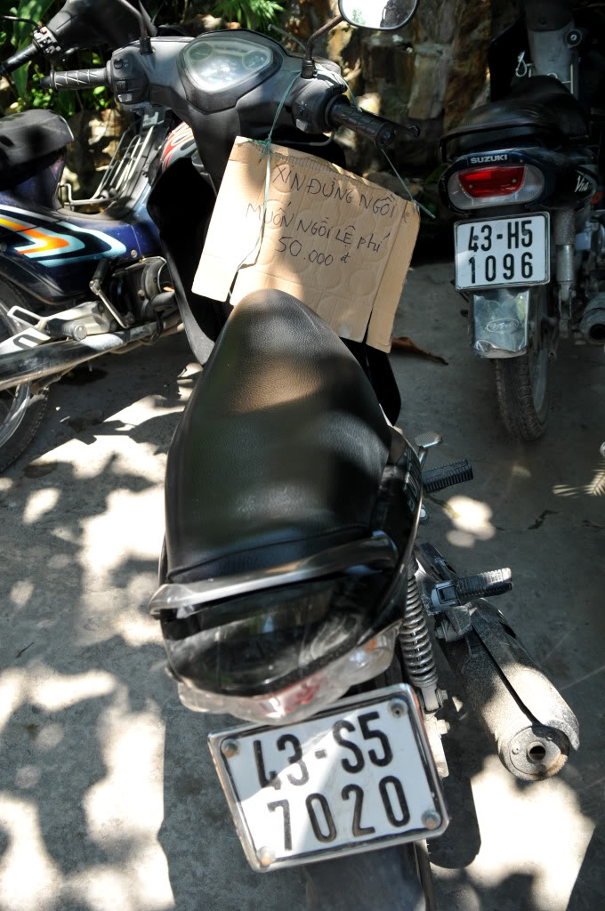 PMT_9741.jpg