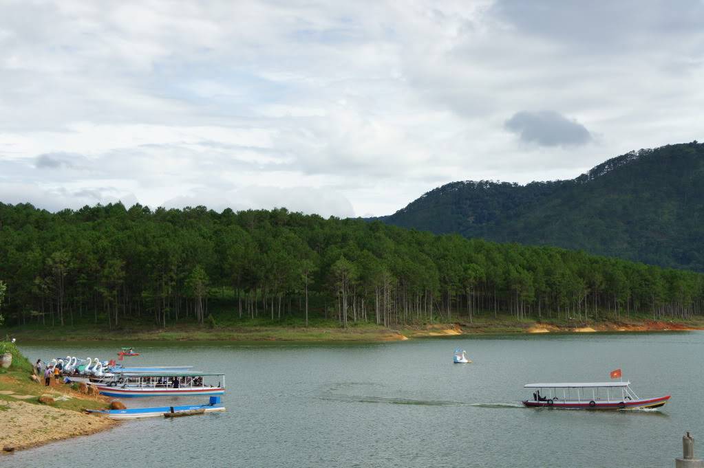 DSC00719.jpg