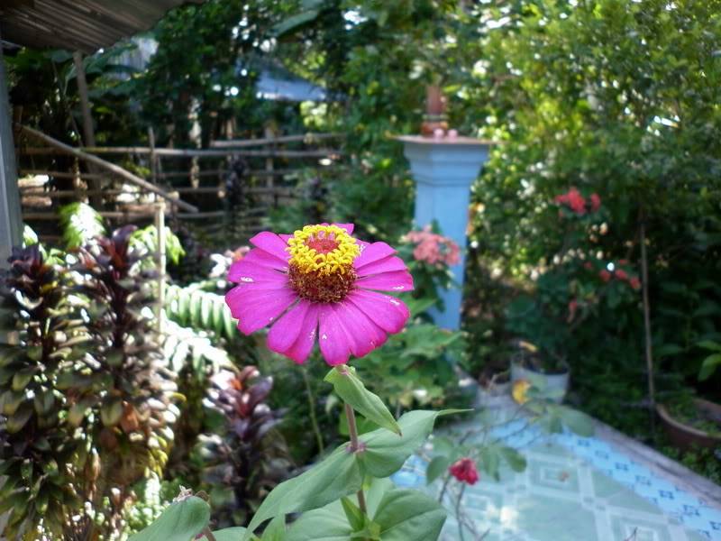 P1000943.jpg
