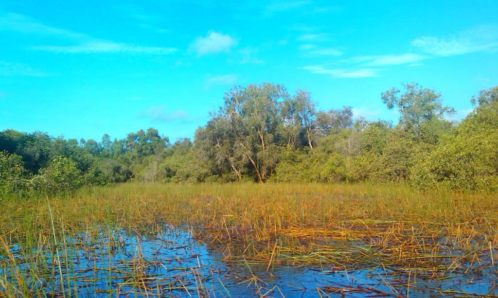IMAG0104.jpg