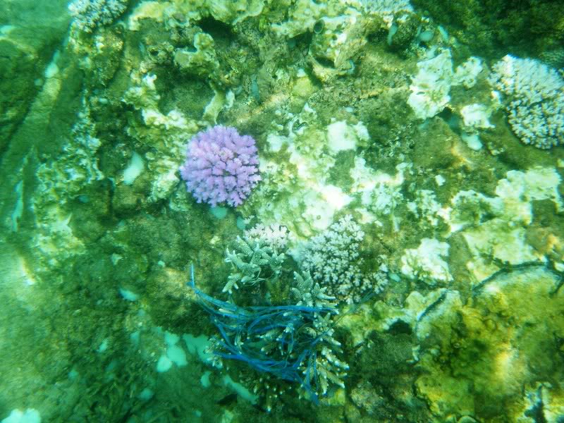 DSCF0119.jpg