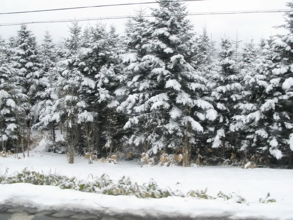 IMG_3182_resize.jpg