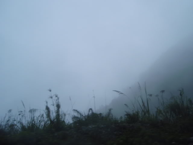 P1010195.jpg