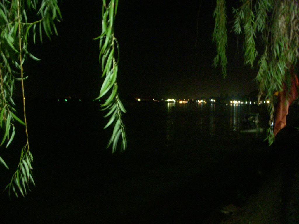 DSCN4231_zps559175f3.jpg